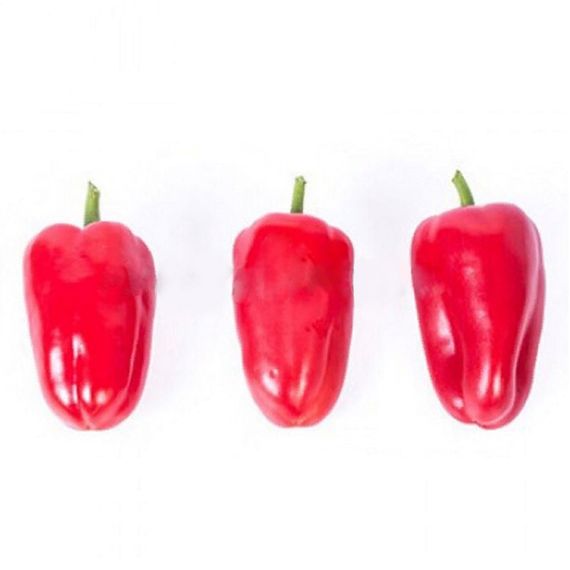 РЕД ТАТИН F1 семена перца сладкого (Rijk Zwaan | Alexagro)