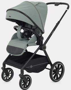 Детская коляска Rant Moss 2 в 1 Green