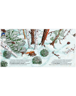 Книжки-картинки. Ежик Игорь недоволен