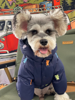 Комбинезон для собак унисекс Медведь