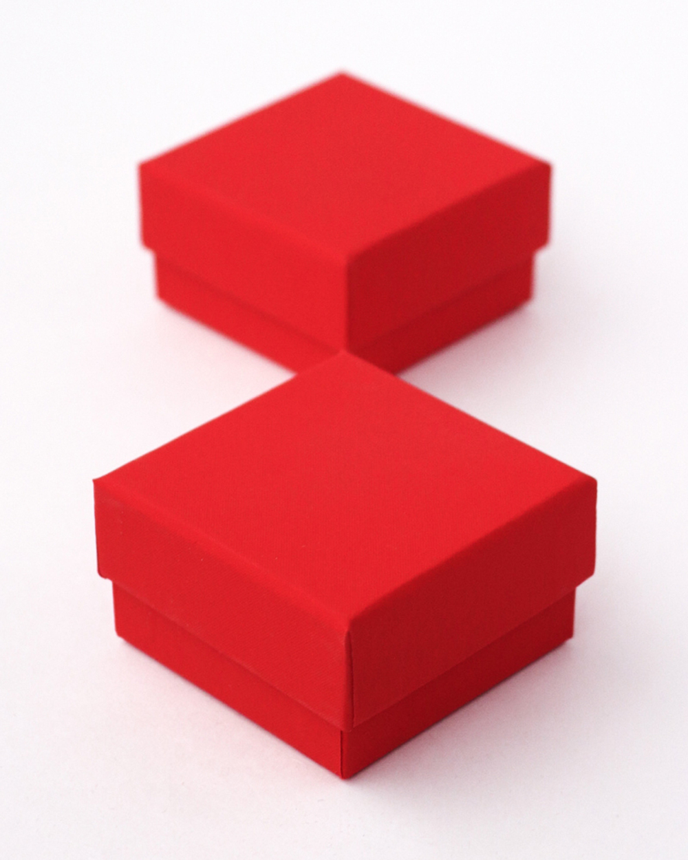 Футляр серии «Алиса» для демонстрации ювелирных изделий