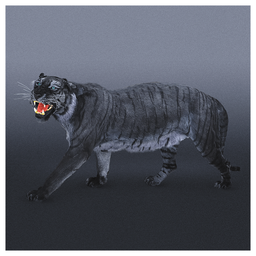 Реплика «Черный тигр»