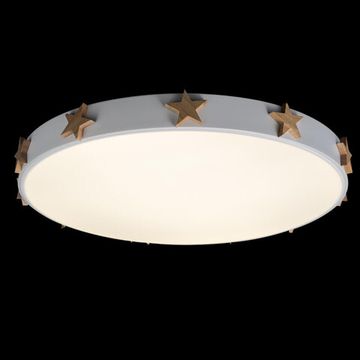 Потолочный светильник LED 36W 4000К 10006/36 White белый Axel LOFT IT