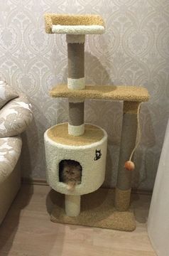 Комплекс для кошек Д-2