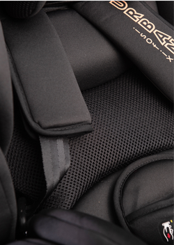 Peppy Автокресло Urban Isofix Gold black черный/золотой 0-36