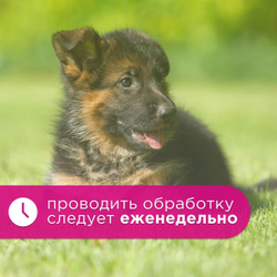 Спрей Brizberry ( Бризберри ) от Apicenna, Защита от погрызов для собак, 250 мл