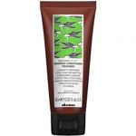 Обновляющий кондиционирующий уход DAVINES Renewing Conditioning Treatment 60 мл