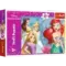 Pazl / Пазлы / Puzzles - "30" - Beautiful princess day / Disney Princess