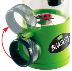 Банка для насекомых Navir «Обзор 360» с микроскопом 10–20x, лупой 3x и жуком - фото 4