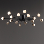 Потолочный светильник Freya FR5242CL-16B