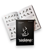 Книга «Головокружение: Элементы брейкинга и их вариации»