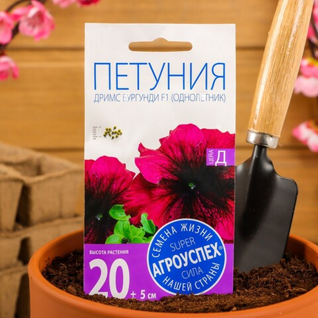 Петуния "Дримс" Бургунди F1, крупноцветковая, О, 10шт
