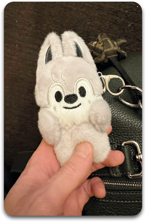 Карта / STRAY KIDS #1535