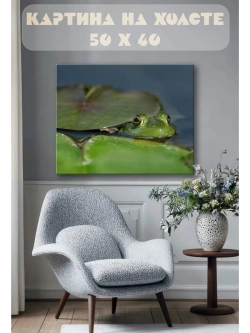 Картина на стену 40 X 50 Лягушка