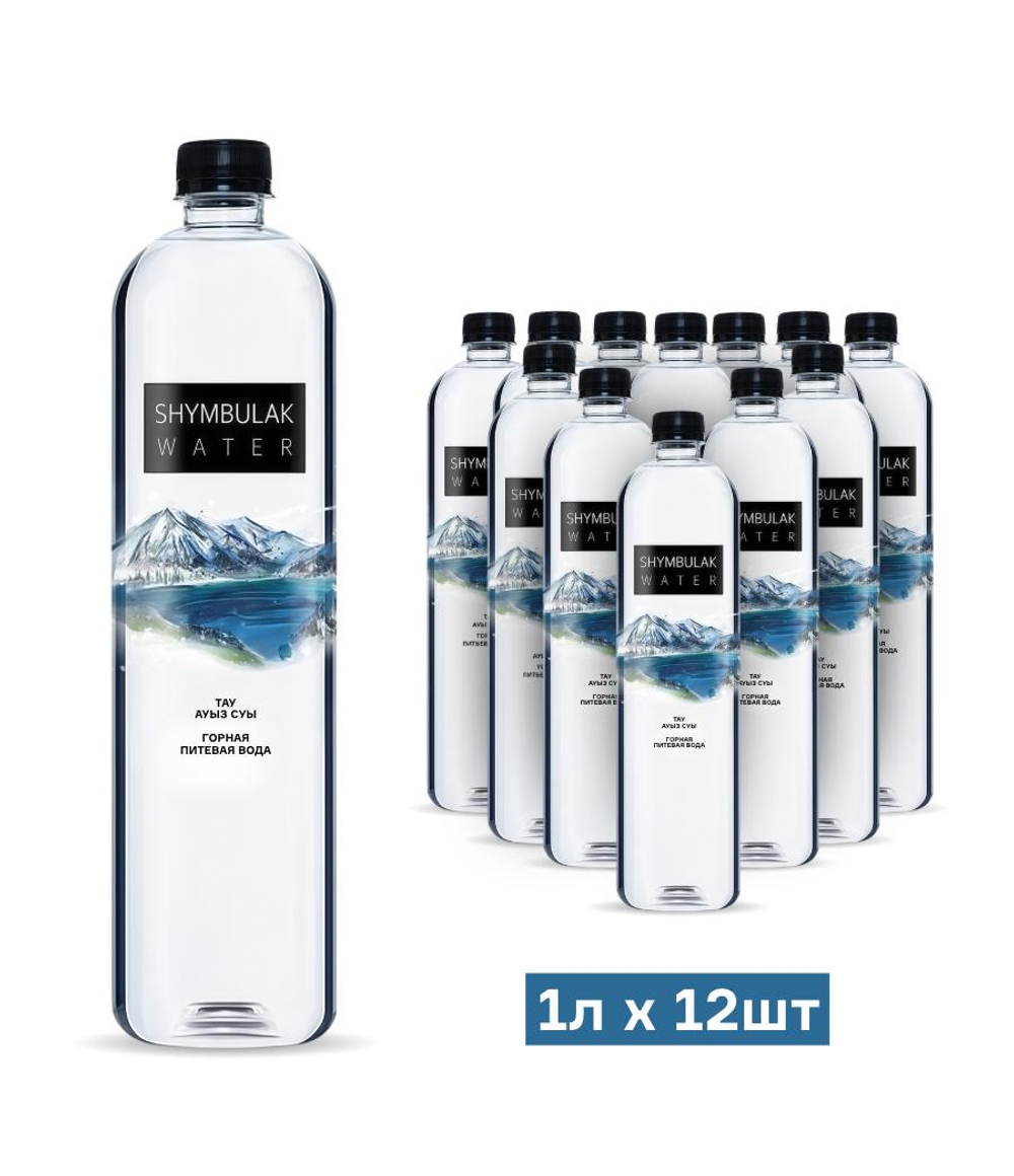 Shymbulak Water 0,5 л. (УПАКОВКА 12шт)