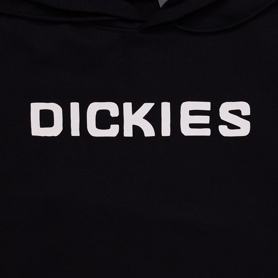 Толстовка мужская Dickies Skateboarding Graphic Hoodie артикул:TWSK3 - купить в магазине Дайс