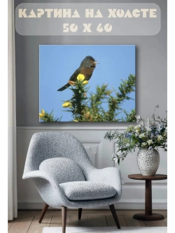 Картина на стену 40 X 50 Птица