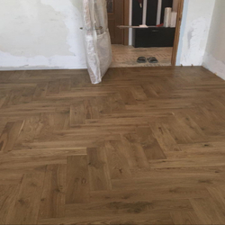 Венгерская елка Gran Parte Дуб Амбра