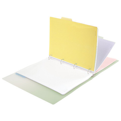 Тетрадь на кольцах БОЛЬШАЯ 305х235мм А4, 120л, пластик, с разделителями, BRAUBERG, Зеленый, 404625