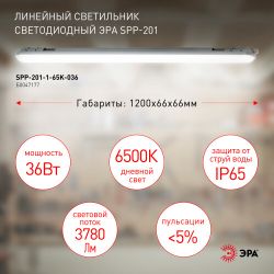 Линейный светодиодный светильник ЭРА SPP-201-1-65K-036 36Вт 6500К 3780Лм IP65 1200 прозрачный