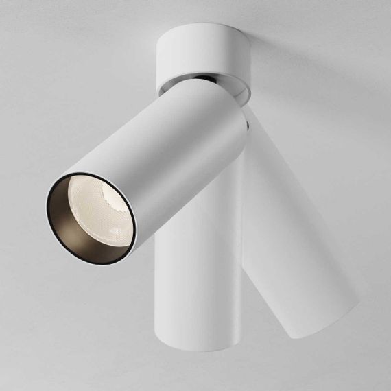 Потолочный светильник Maytoni Technical C055CL-L12W3K-SS-W