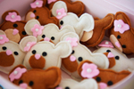 Teddy Bear Party