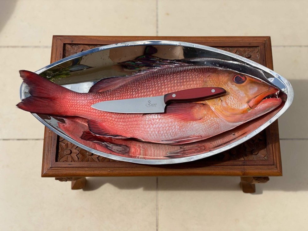 🏆Кухонный нож Alexander M PRO AUS-8 Red G10