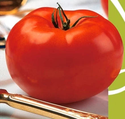 Томат Волверин F1 10шт Мировые Семена VITA GREEN