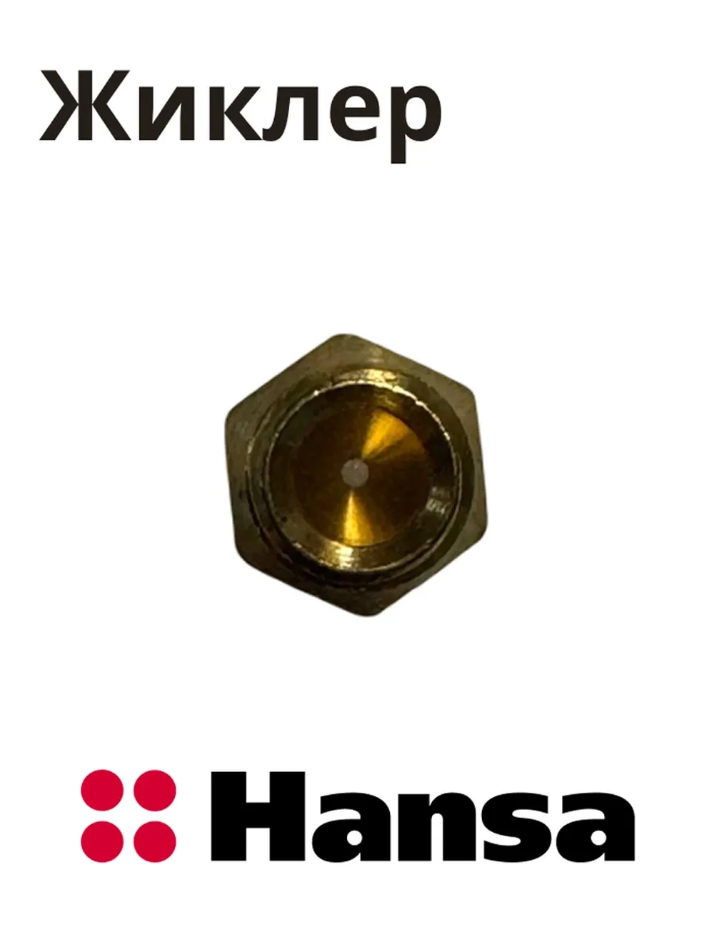 Форсунка 8046855 Hansa