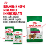 Royal Canin Mini Indoor Adult Корм сухой для взрослых собак мелких размеров живущих в помещении 0,5 кг