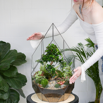 Флорариум бонсай Кармона Фаберже