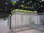 Оформление воздушными шарами презентаций и выставок