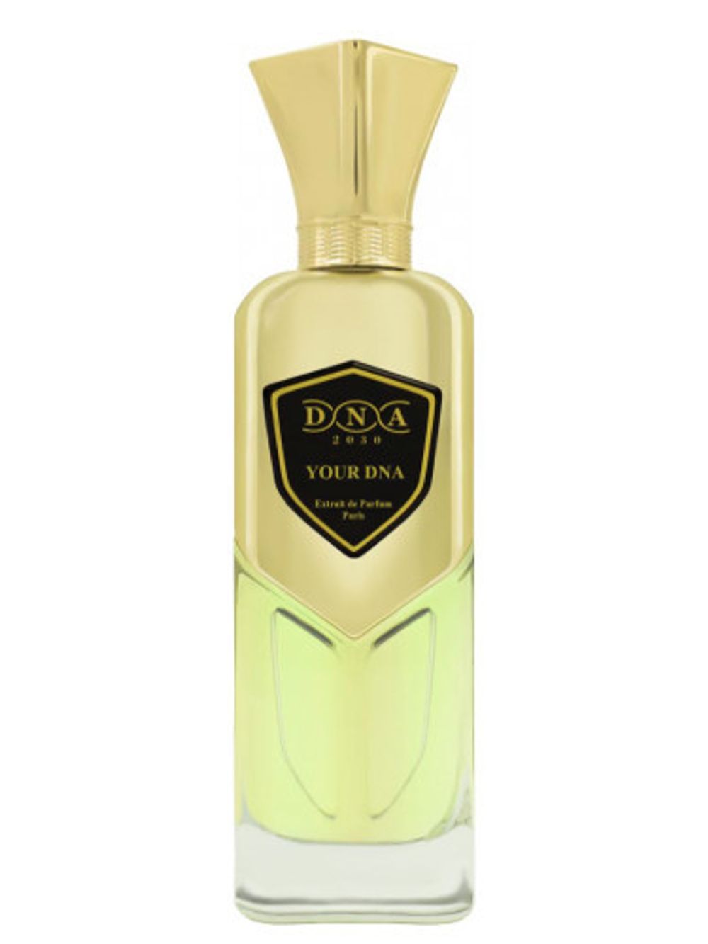 DNA 2030 Your DNA