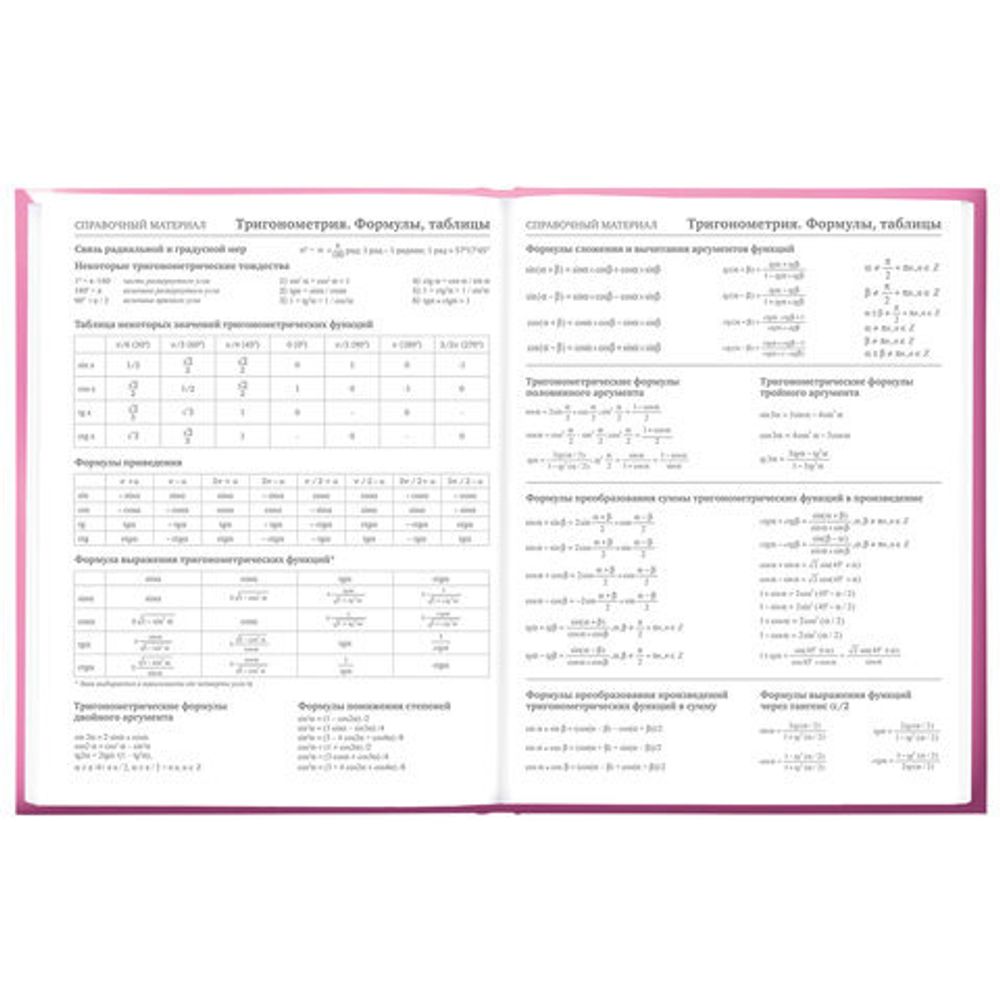 Дневник 5-11 класс 48 л., твердый, BRAUBERG, выборочный лак, с подсказом, "Brings Joy", 107194