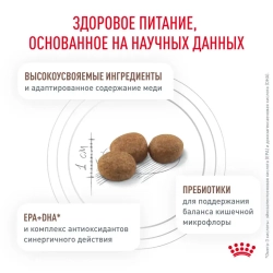 Royal canin hepatic лечебный сухой корм для кошек с заболеваниями печени - 500 г