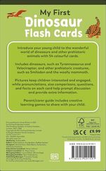 My First Dinosaur Flash Cards