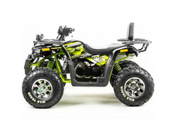 Квадроцикл MOTOLAND 200 Wild Track Pro