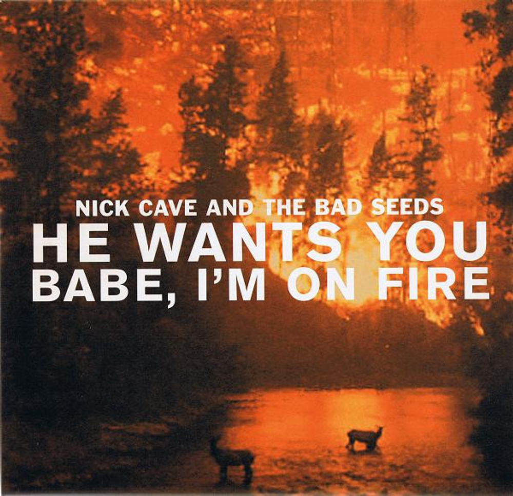 Nick Cave & The Bad Seeds - He Wants You / Babe, I'm On Fire - 10'' Single