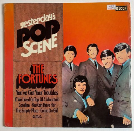 Винтажная виниловая пластинка LP The Fortunes You ve Got Your Troubles (Germany 1974)
