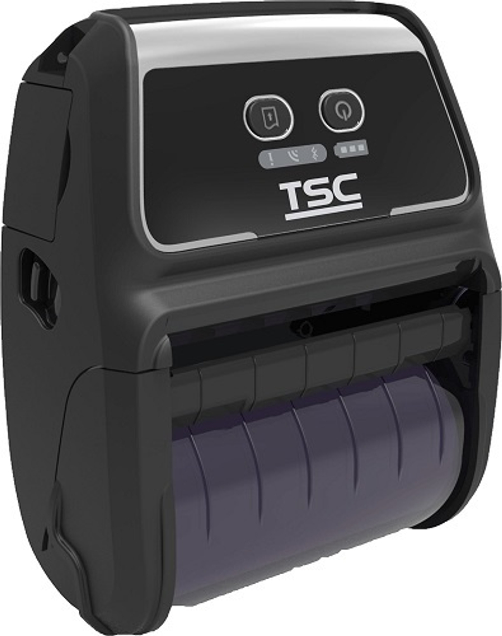 Термопринтер этикеток TSC Alpha-4L (99-048A068-0302)