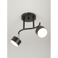 Светильник настенно-потолочный спот Rivoli Vanessa 7074-702 2хGX53 15 Вт поворотный | Rivoli