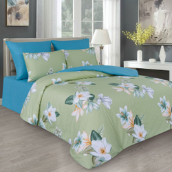 Постельное белье Valtery CS-007 сатин