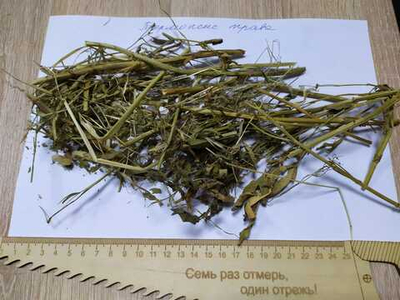 Термопсис ланцетный трава рез 5-10 мм