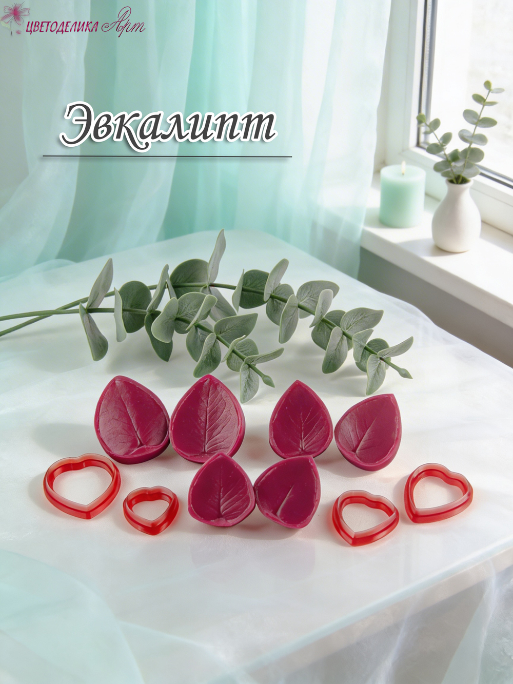 Эвкалипт серебряный