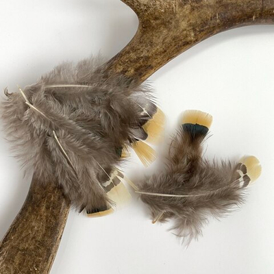 Перья фазана с желтой кисточкой 6-8 см. 10 шт.