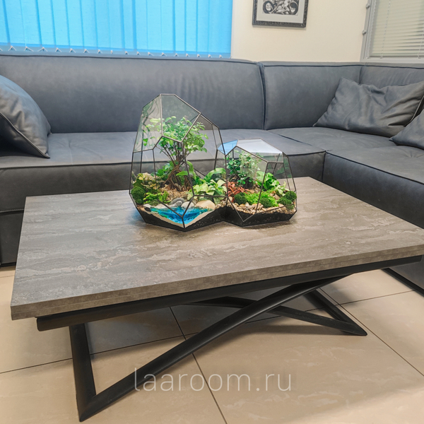 Флорариум бонсай Кассиопея с озером