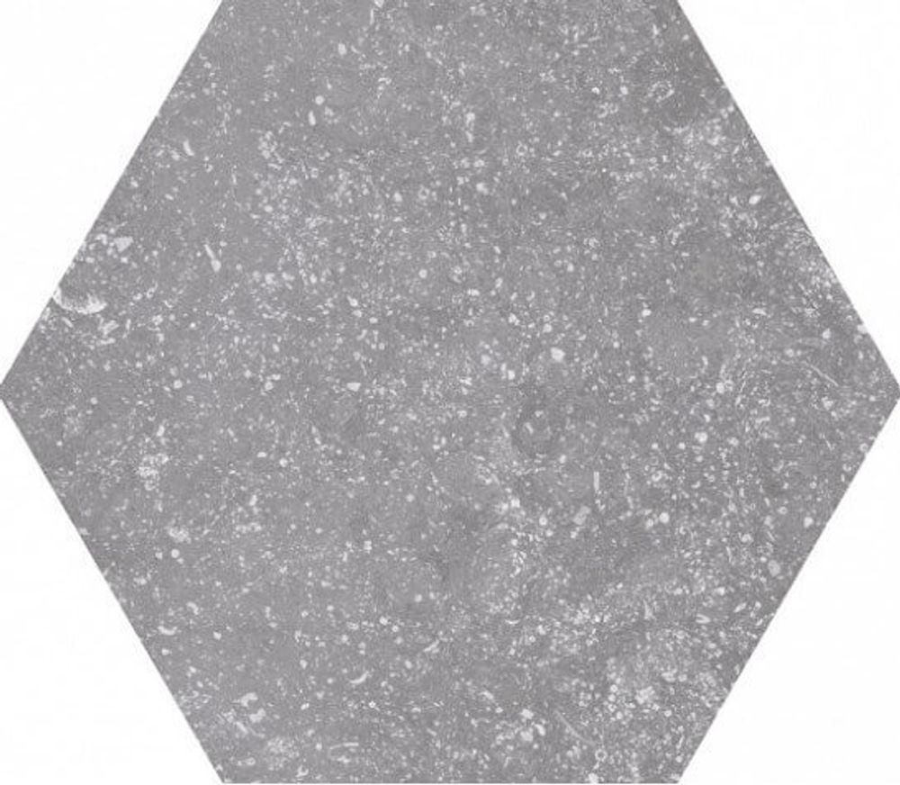 Equipe Coralstone Hexagon Grey 25.4x29.2