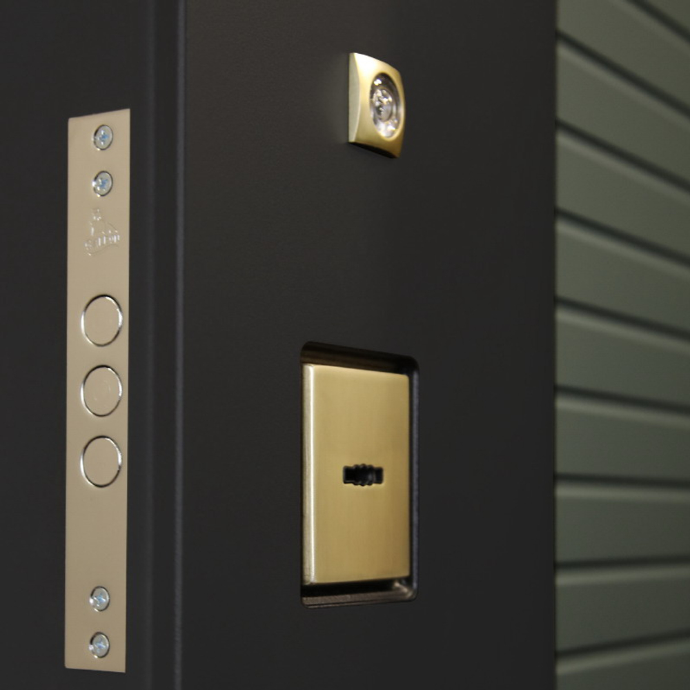 Стальная дверь "Сингапур" с зеркалом. Заказная модель.