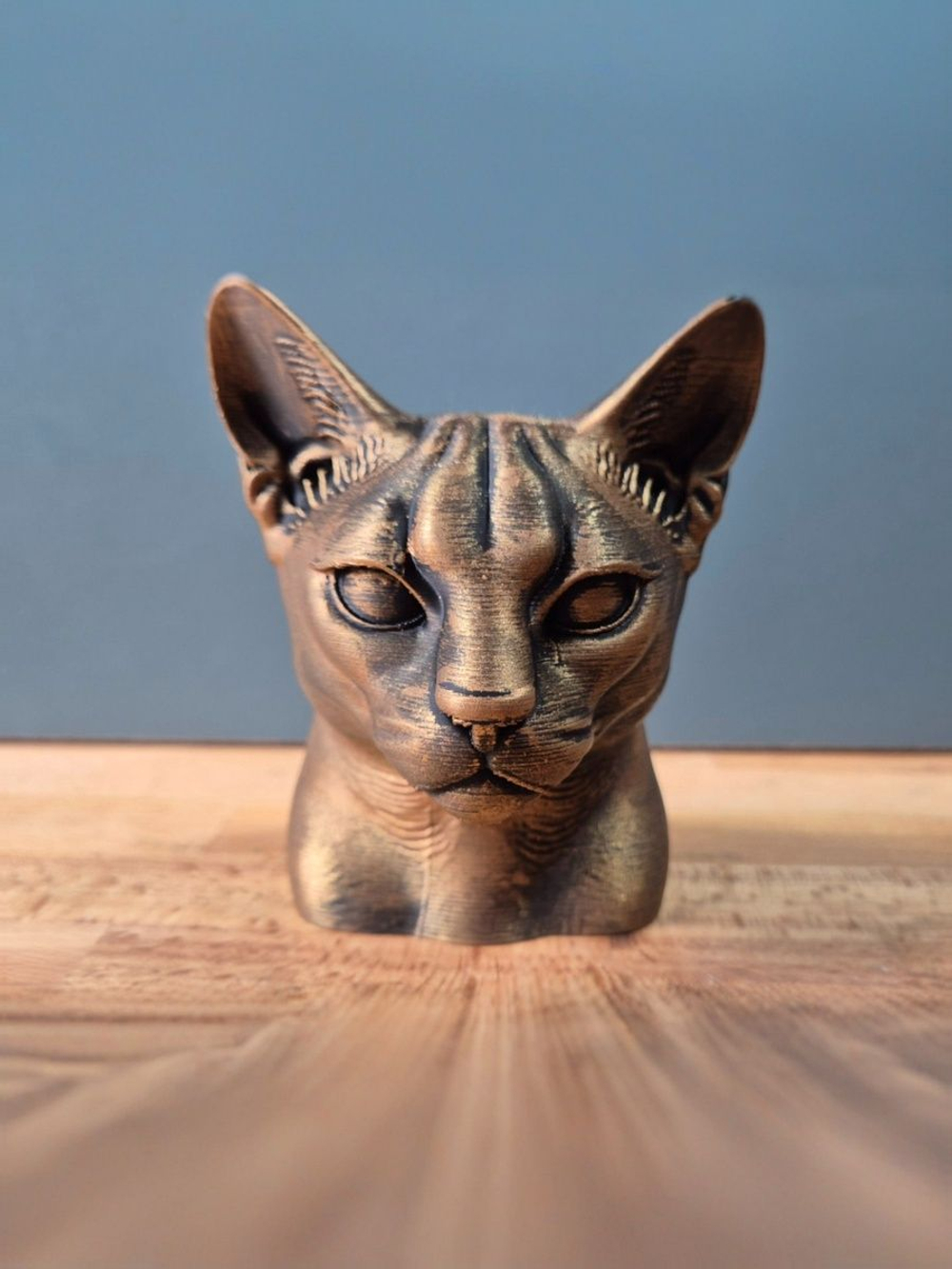 Абиссинская кошка