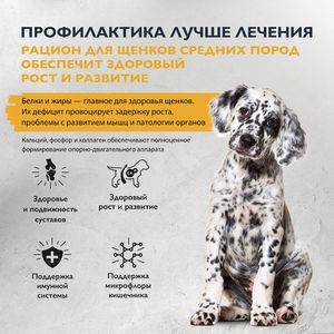 Сухой корм Brit Care Dog Puppy&Junior M для щенков средних пород с индейкой и уткой, Здоровый рост и развитие